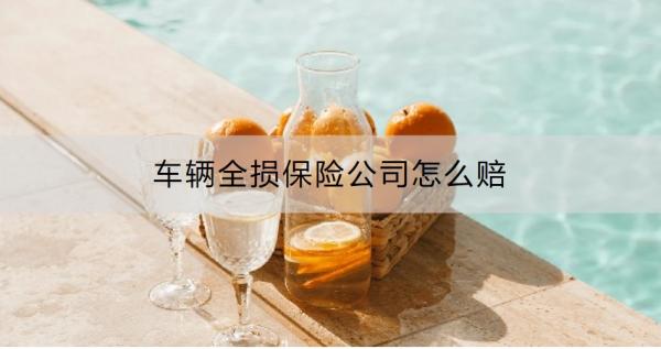 车辆全损保险公司怎么赔？车辆损失险赔付哪些情况？