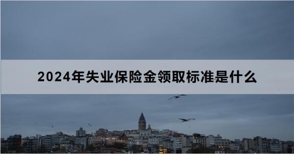 2024年失业保险金领取标准是什么？怎么领取？