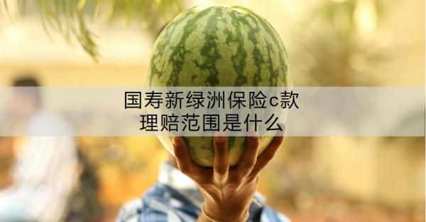 国寿新绿洲保险c款理赔范围是什么？理赔需要多久？
