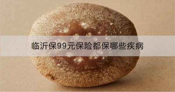 临沂保99元保险都保哪些疾病？怎么买？