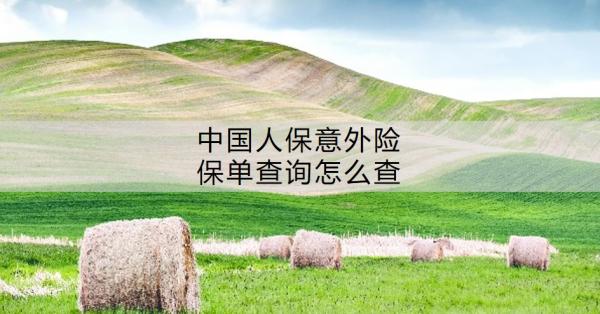 中国人保意外险保单查询怎么查？哪个好啊？