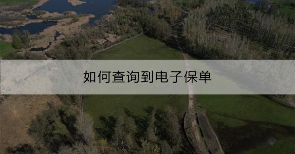 如何查询到电子保单？电子保单查询不到为什么？