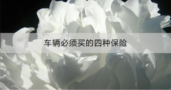 车辆必须买的四种保险，你真的了解吗