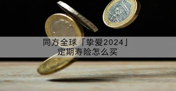 同方全球「挚爱2024」定期寿险怎么买？特色有哪些？