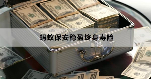 蚂蚁保安稳盈终身寿险怎么样？如何投保？