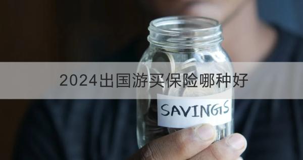 2024出国游买保险哪种好？这四款值得考虑