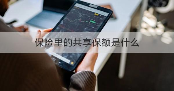 保险里的共享保额是什么？有哪些优势？