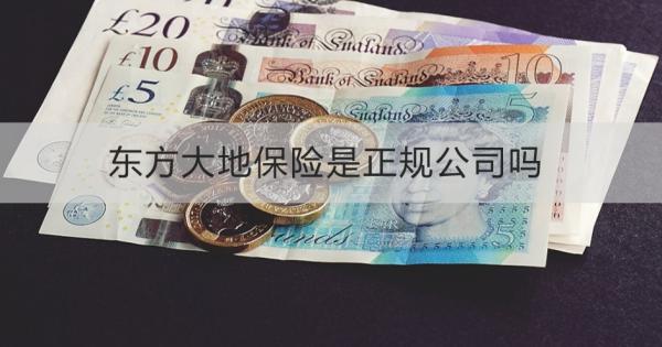 东方大地保险是正规公司吗？从这四个方面来看