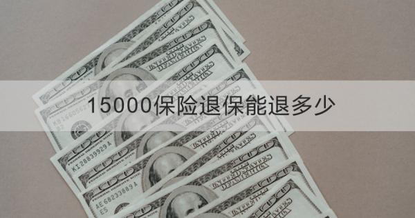 15000保险退保能退多少？退保怎么退？