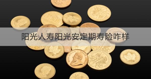 阳光人寿阳光安定期寿险咋样
