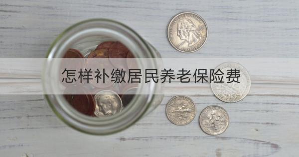 怎样补缴居民养老保险费？一文为你详细解析