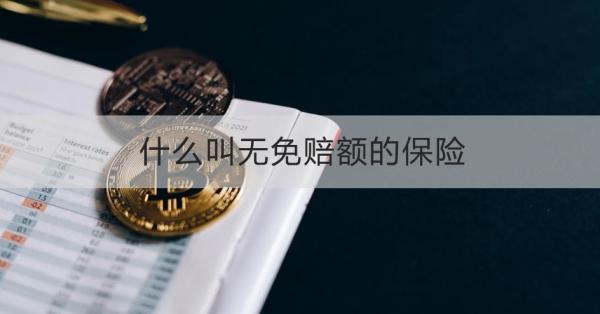 什么叫无免赔额的保险？适合什么人买？