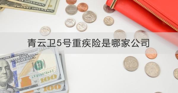青云卫5号重疾险是哪家公司
