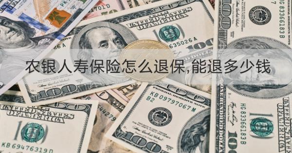 农银人寿保险怎么退保,能退多少钱？
