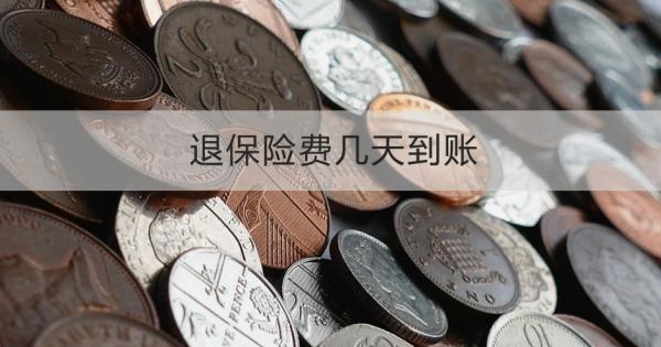 退保险费几天到账？流程是什么？
