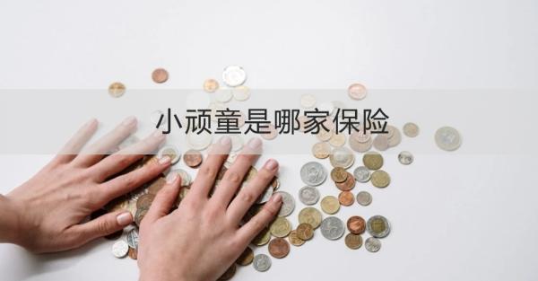小顽童是哪家保险？怎么买？