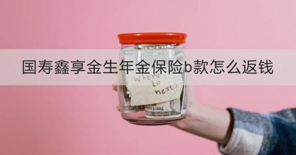 国寿鑫享金生年金保险b款怎么返钱？流程是怎么样的？