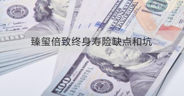 臻玺倍致终身寿险缺点和坑