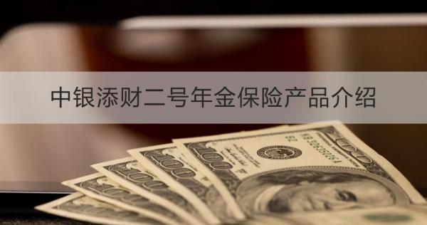 中银添财二号年金保险
