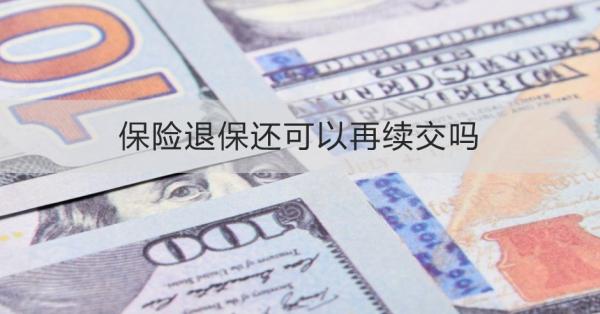 保险退保还可以再续交吗？保险退保需要注意什么？