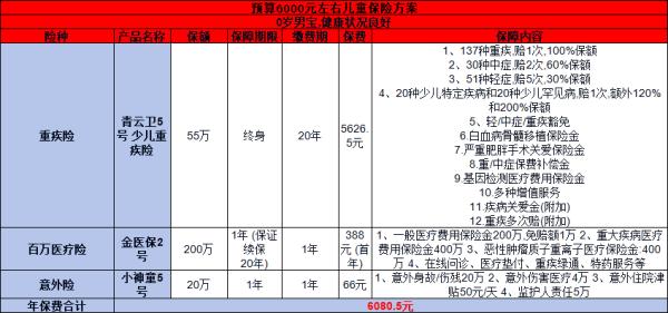 预算6000儿童保险方案，轻松配置