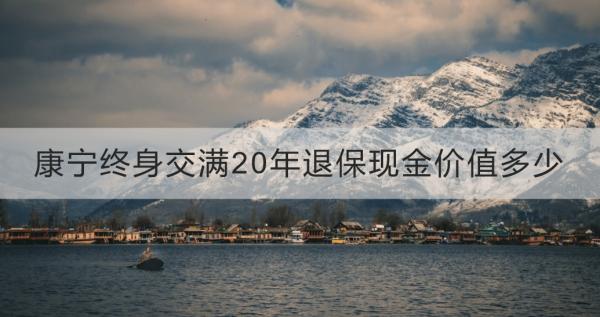 康宁终身交满20年退保现金价值多少？康宁终身退保流程‌有哪些？