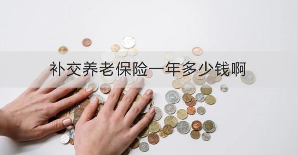 补交养老保险一年多少钱啊