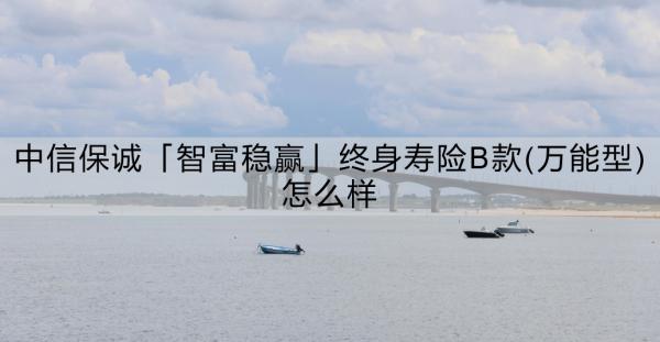 中信保诚「智富稳赢」终身寿险B款(万能型)怎么样？适合哪些人群？