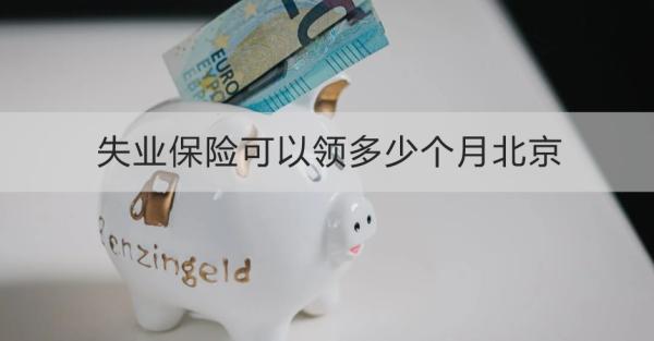 失业保险可以领多少个月北京