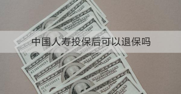 中国人寿投保后可以退保吗？会有哪些影响？