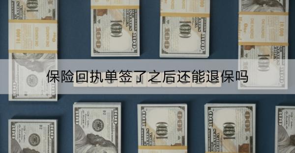 保险回执单签了之后还能退保吗?