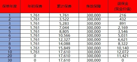 国寿祥和定期寿险(2025版)有什么特色？收益高吗？