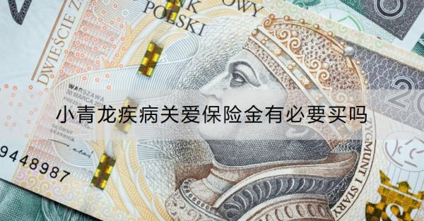 小青龙疾病关爱保险金有必要买吗？提供什么保障？