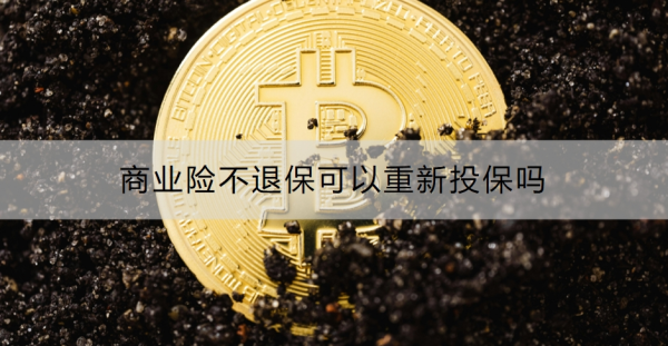 商业险不退保可以重新投保吗？退保流程是什么？