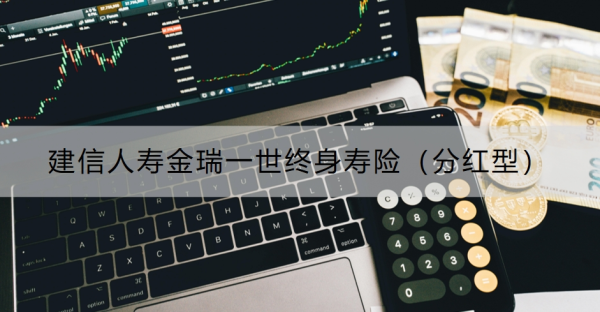 建信人寿金瑞一世终身寿险（分红型）介绍，基本信息+保障内容！
