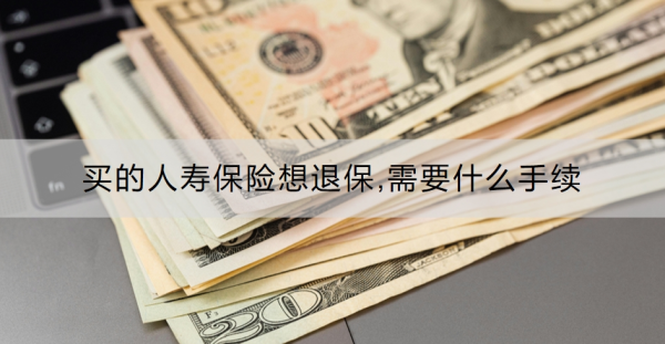 买的人寿保险想退保,需要什么手续？需要注意什么？