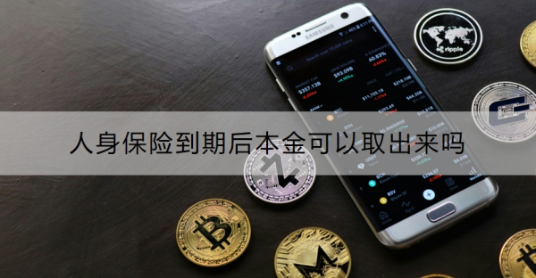 人身保险到期后本金可以取出来吗