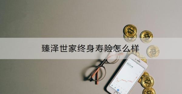 臻泽世家终身寿险怎么样？有什么优势与不足？