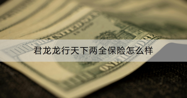 君龙龙行天下两全保险怎么样