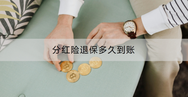 分红险退保多久到账？退保流程是什么？