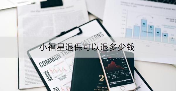 小福星退保可以退多少钱？退保的流程是什么？