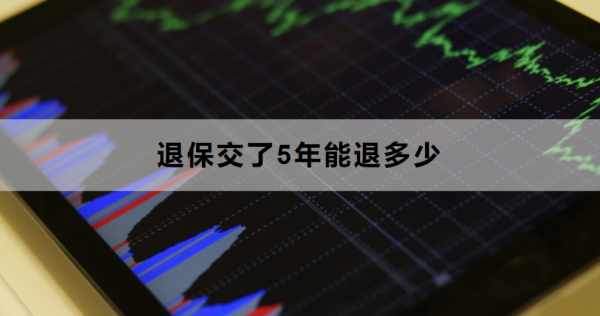 退保交了5年能退多少？退保流程是什么？