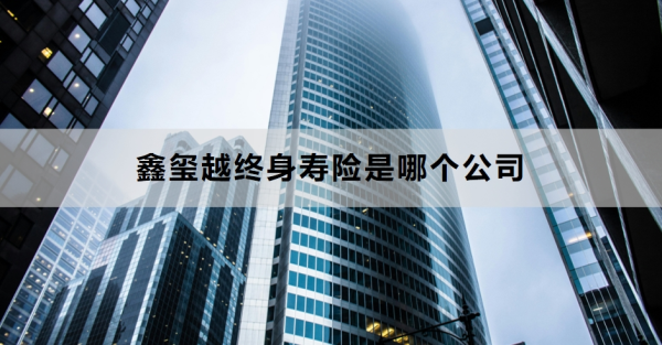 鑫玺越终身寿险是哪个公司？附产品介绍！