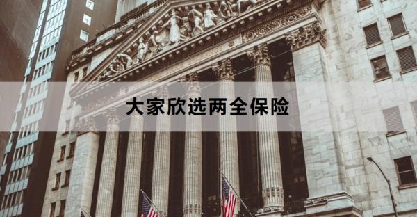 大家欣选两全保险介绍，附产品优势与注意事项！