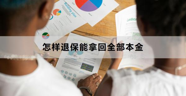 怎样退保能拿回全部本金？这4种情况可以！