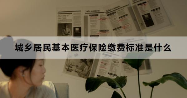 城乡居民基本医疗保险缴费标准是什么？参保条件与流程是什么？