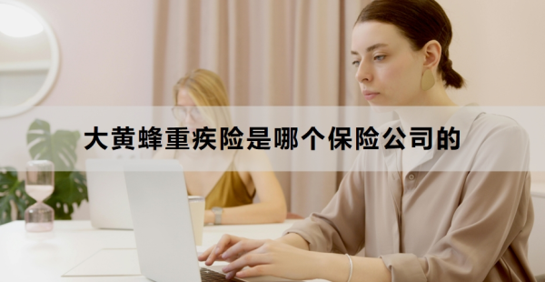 大黄蜂重疾险是哪个保险公司的？看完你就知道了！