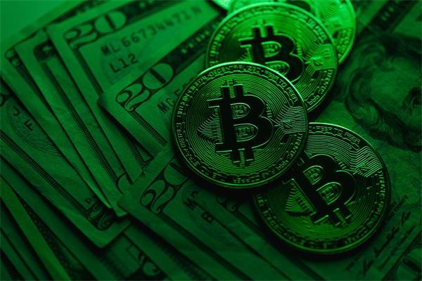 犹豫期退保可以在手机上操作吗？可以退多少钱？