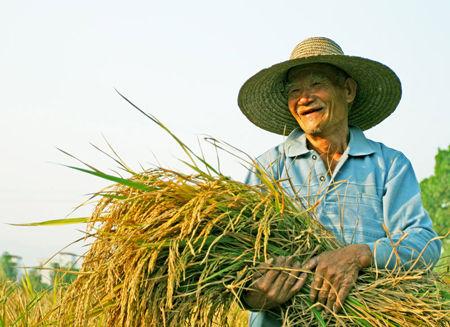 农业保险分类