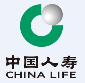 中国人寿定期寿险险种
